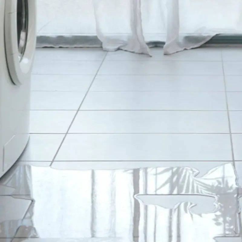 Appliance Leak Cleanup in Cape Coral, FL